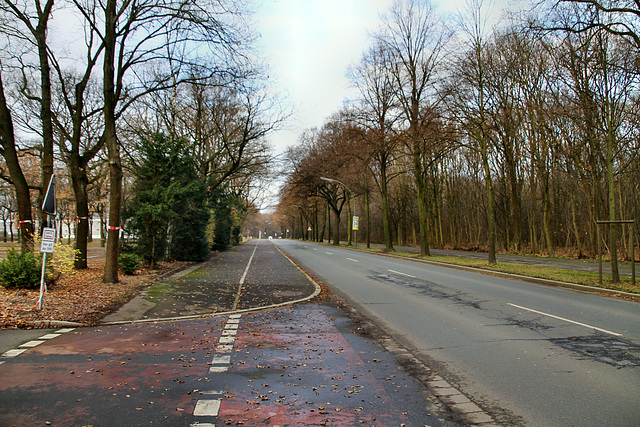 Carl-Duisberg-Straße (Marl-Hamm) / 12.12.2018