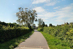 Radweg auf der ehem. Hafenbahn der Zeche Fürst Leopold (Hervest-Dorsten) / 19.07.2020