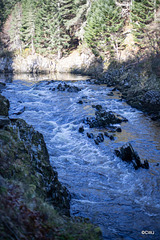 The River Findhorn