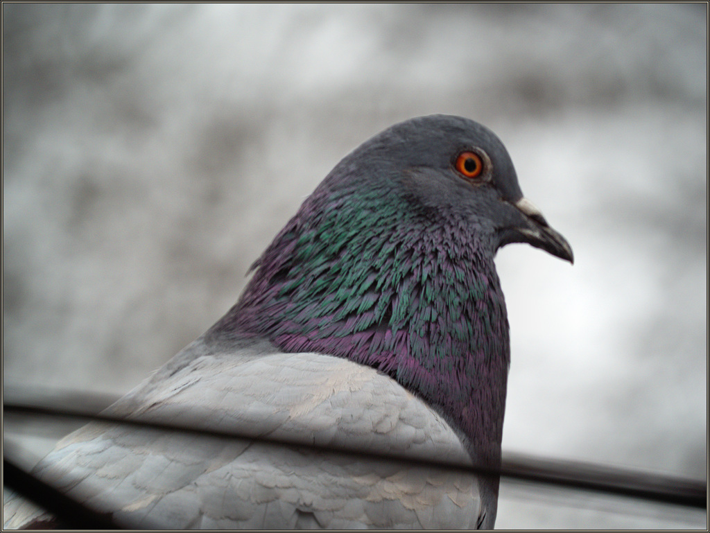 Bold but wary, at least for the time being