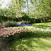 Keukenhof Tulips3
