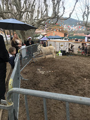 Le marché de Noël a Gargas Vaucluse