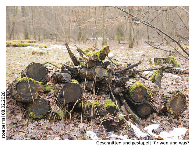 Wood cut and stacked. For whom?