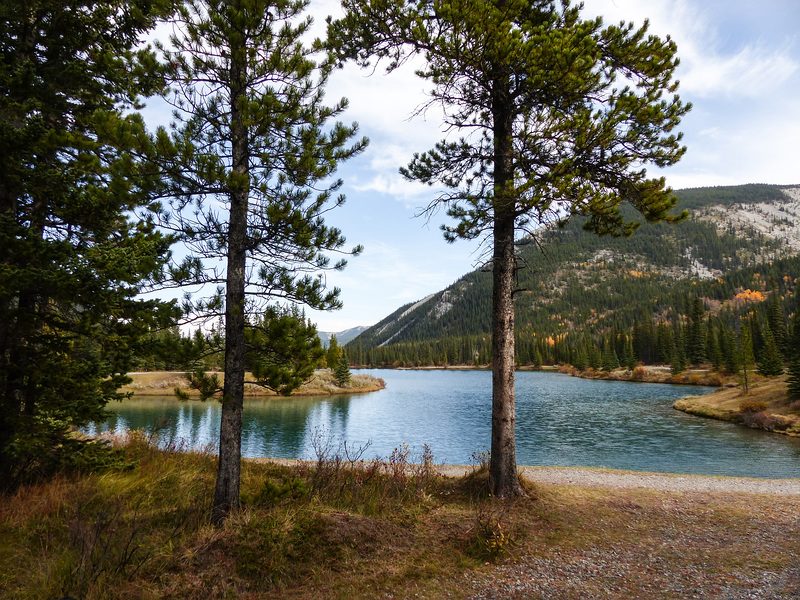 Forgetmenot Pond