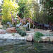 Jungle Cruise in Disneyland, June 2016