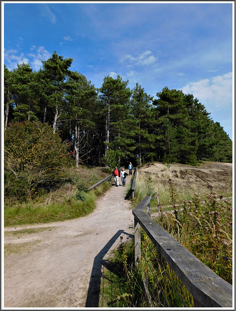 Le parc de Marquenterre en baie de Somme