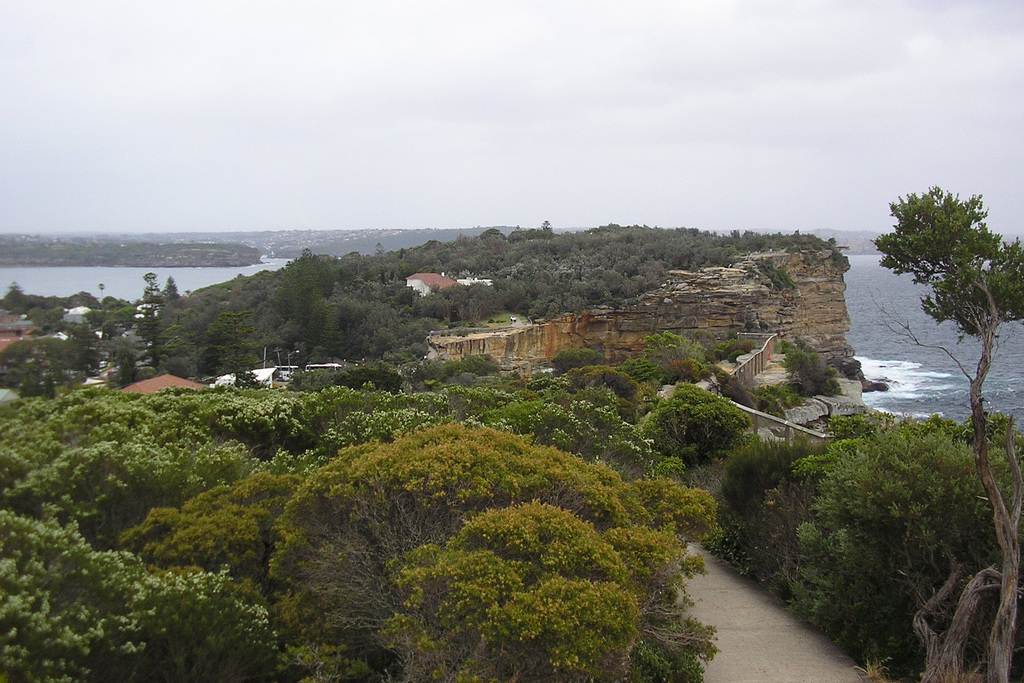 South Head