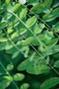 DSCF4054