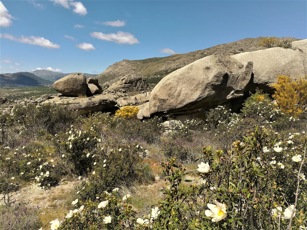 La Sierra de La Cabrera, Mondalindo and the Bustarviejo Valley.