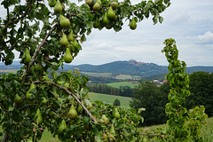 Leuchtenberg, Blick aus Westen