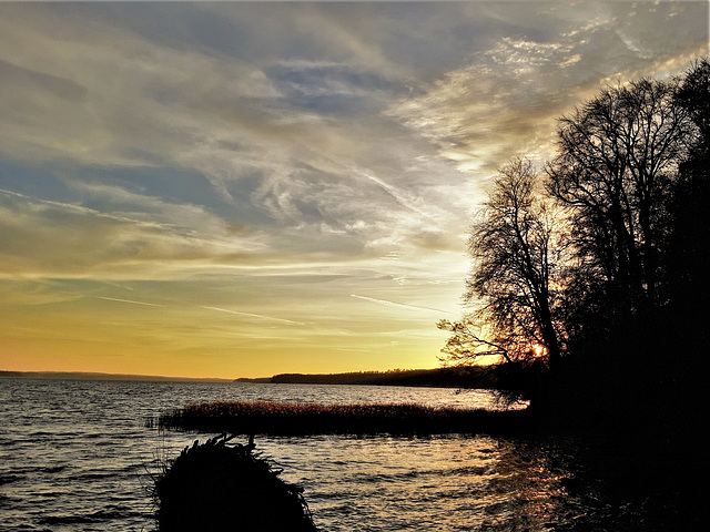 Der Tollensesee im goldenen Licht