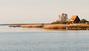 The Island