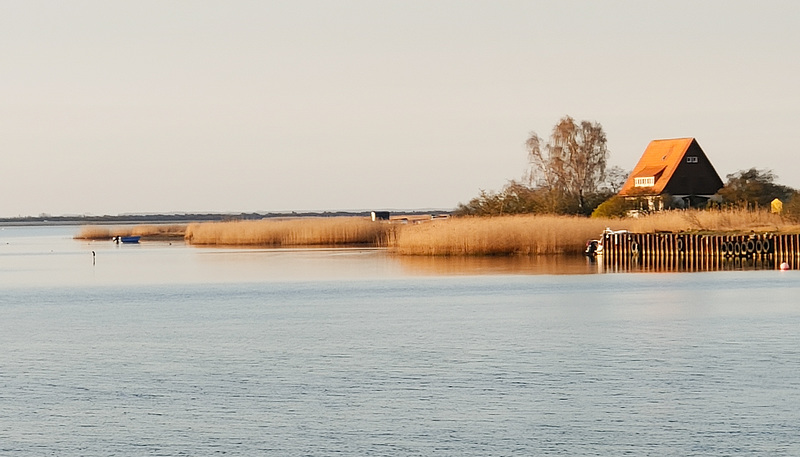 The Island