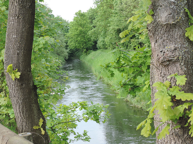 the river that originates 1km from my home