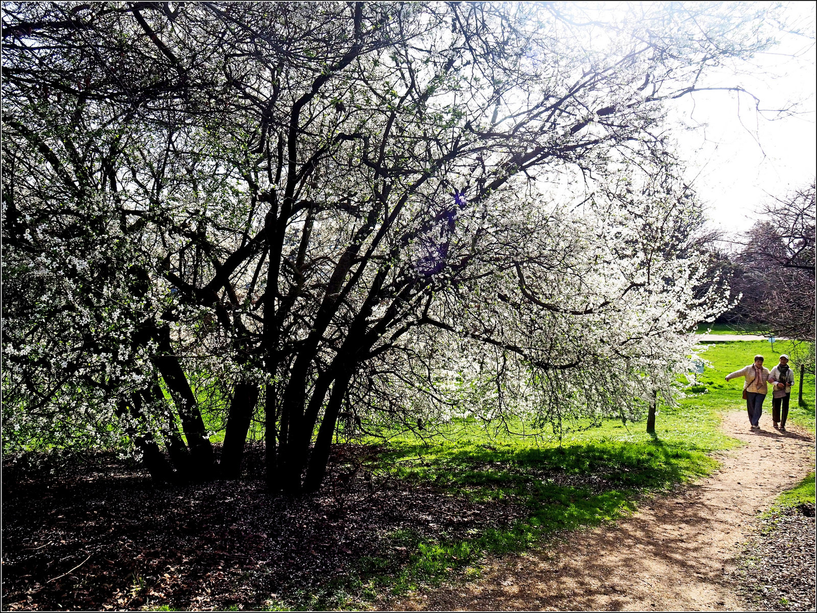 Un avant-goût de printemps