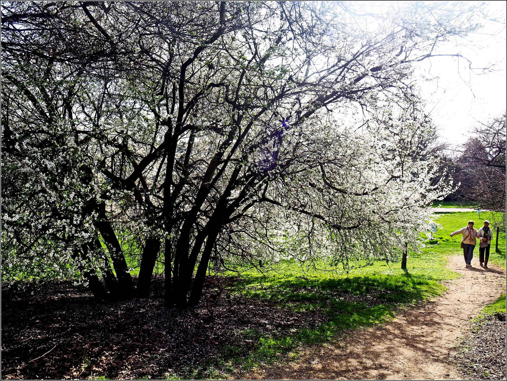 Un avant-goût de printemps