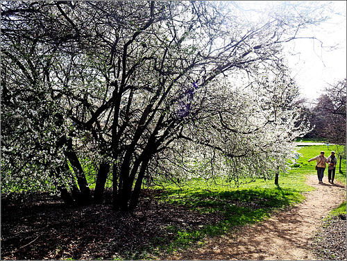 Un avant-goût de printemps