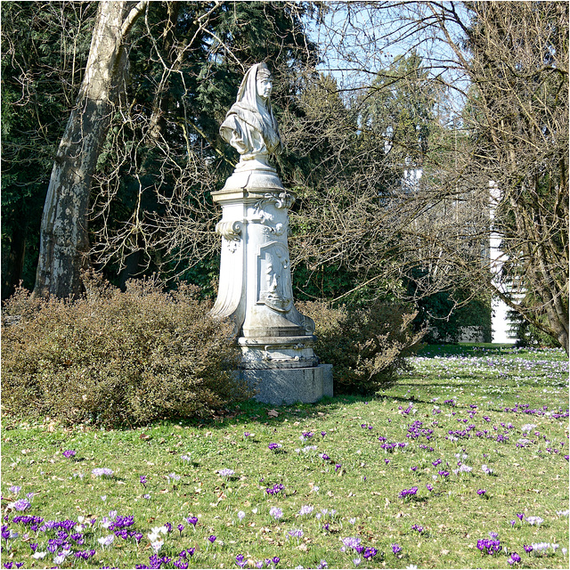 Krokussblüte am Kaiserin Augusta Denkmal /  Baden-Baden  2025  04