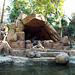 Jungle Cruise in Disneyland, June 2016