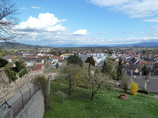 Frühling in Breisach. Blick richtung Basel