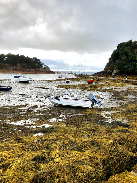 Ile de Bréhat Côte d'Armor