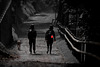 Der Weg zur Black Lodge (HFF)