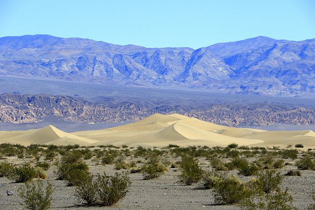 Mesquite Flat Sand Dunes