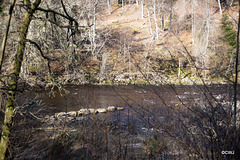 The River Findhorn