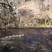 The River Findhorn
