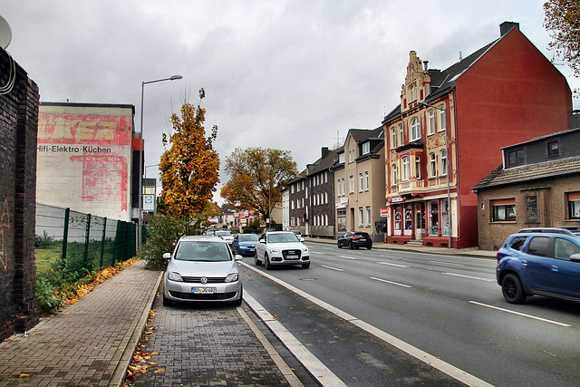 Herner Straße (Bochum-Hofstede) / 11.11.2023