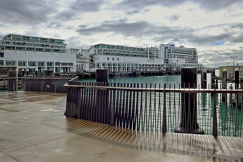 ipernity: Auckland wharf - by tiabunna