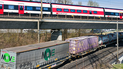 260424 Othmarsingen 28 260424 Othmarsingen 28