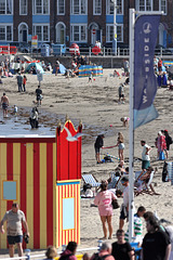 EOS R7 Peter Harriman 15 24 41 7367 justLikeSummerWind dpp