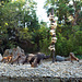 Jungle Cruise in Disneyland, June 2016