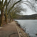 Am Ufer des Baldeneysees (Essen-Fischlaken) / 4.02.2017