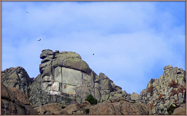 Cancho Largo and vultures