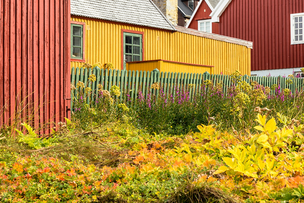 Nuuk old town