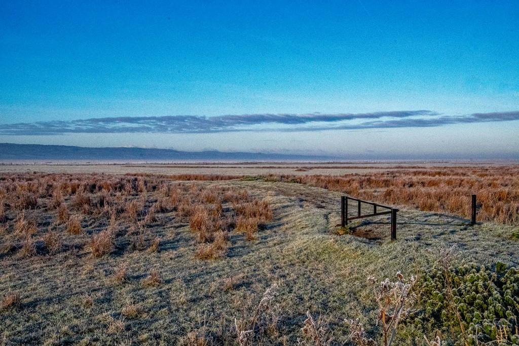 Landscape images from a walk this morning