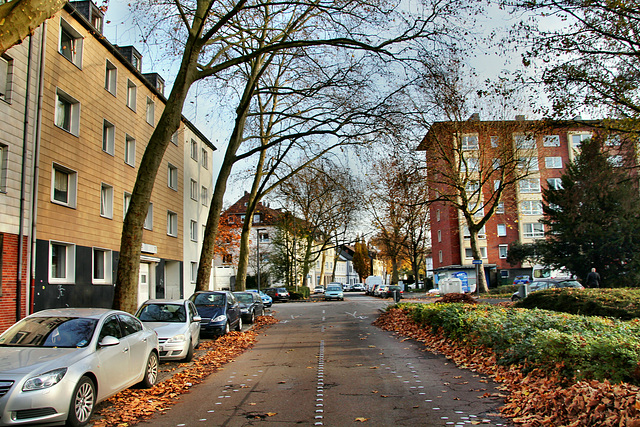 Walpurgisstraße (Gelsenkirchen-Bulmke-Hüllen) / 14.11.2020