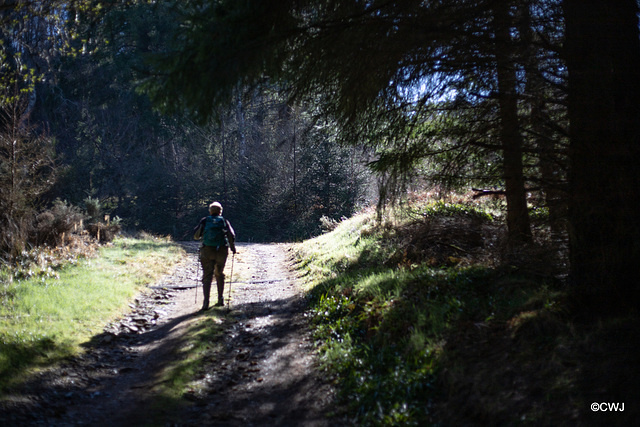 Climbing up to Auchnagairn from the River Findhorn in early morning sunshine