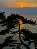 the yellow sea at dusk