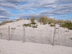 Dunes et clôtures