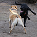 IMG 9051