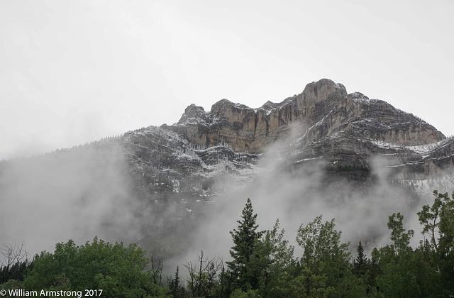 mountain mist