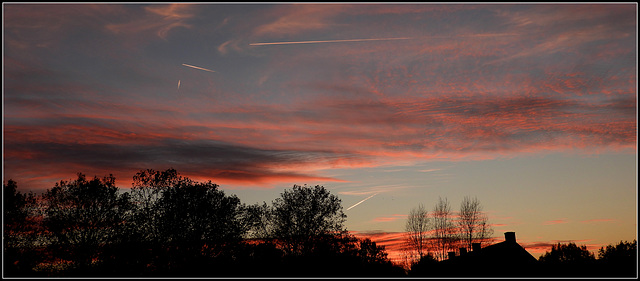 Busy sky