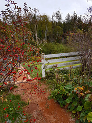 Der Zaun mit Herbstimpressionen