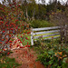 Der Zaun mit Herbstimpressionen