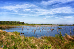 Naturschutzgebiet Theikenmeer