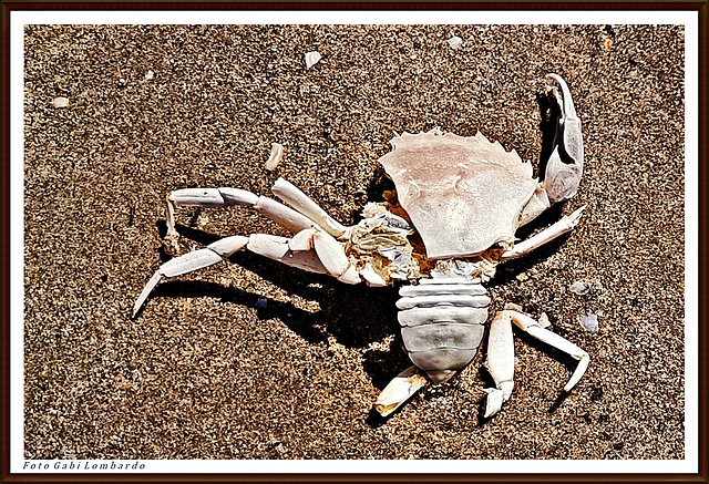 death on the beach