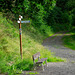 Virneburg in der Eifel